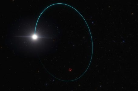Astronomët zbulojnë zgjimin e papritur të vrimës së zezë